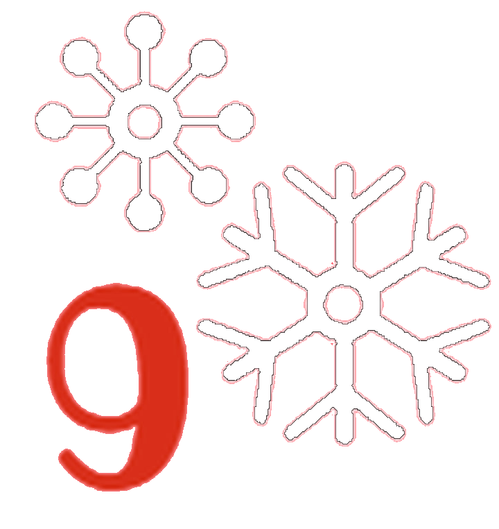 Día 9