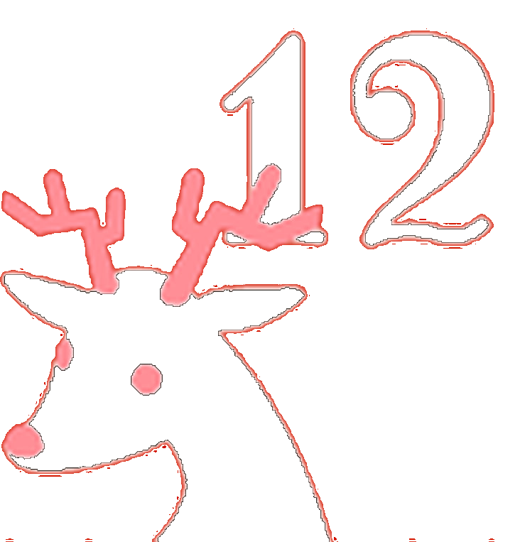 Día 12