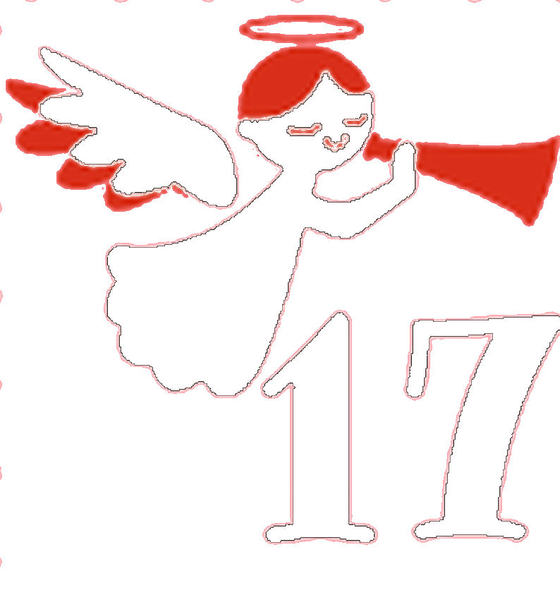 Día 17